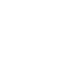 Wellness Solutions